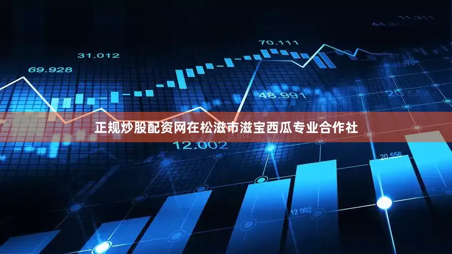 正规炒股配资网在松滋市滋宝西瓜专业合作社