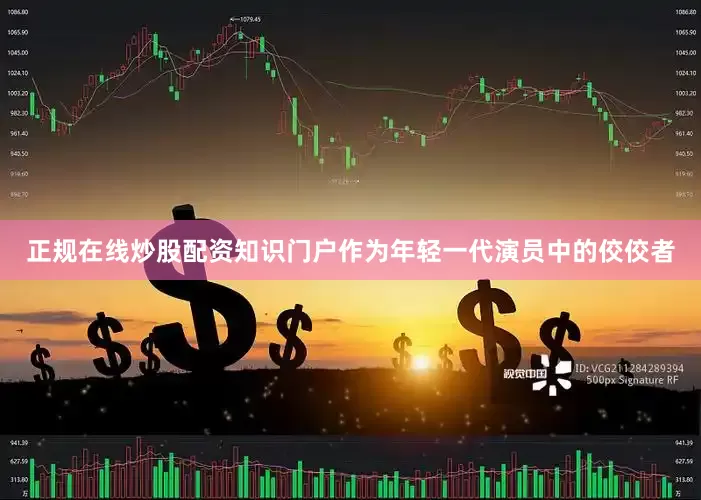 正规在线炒股配资知识门户作为年轻一代演员中的佼佼者