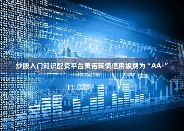 炒股入门知识配资平台美诺转债信用级别为“AA-”