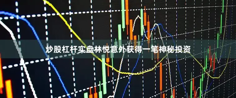 炒股杠杆实盘林悦意外获得一笔神秘投资